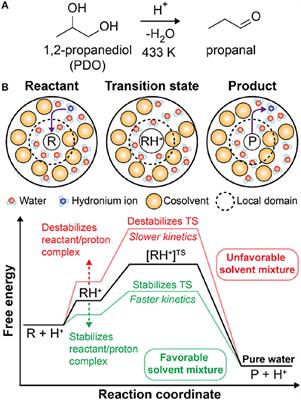 Quantifying the Stability of the Hydronium Ion in Organic Solvents With Molecular Dynamics Simulations